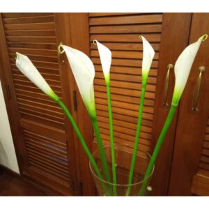 Set of 5 Artificial White Tulips- SoUnique.PK