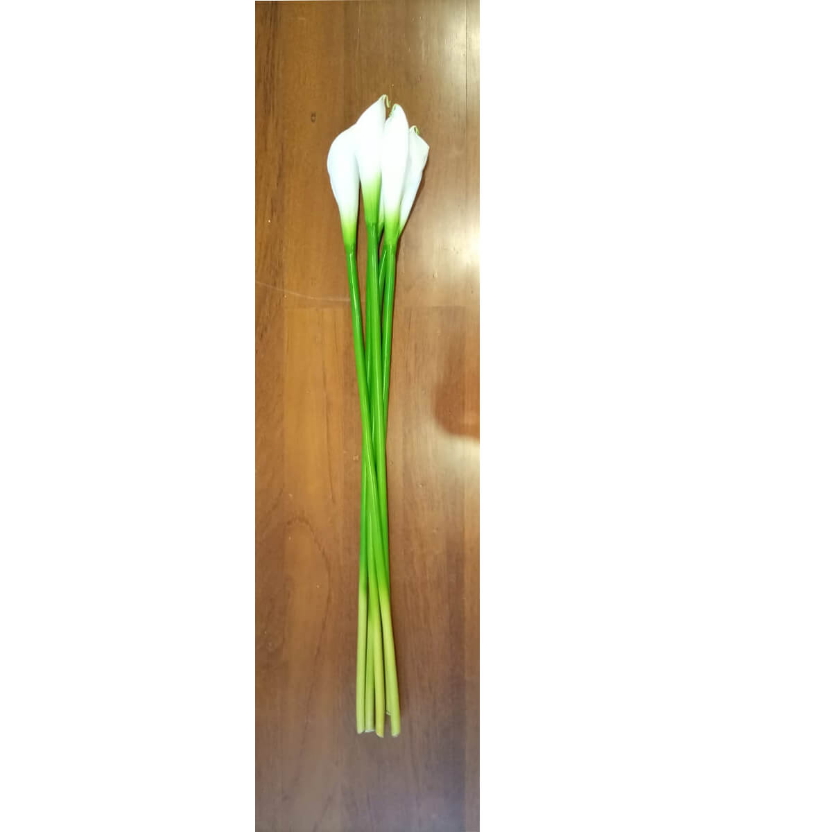 Set of 5 Artificial White Tulips SoUnique.PK