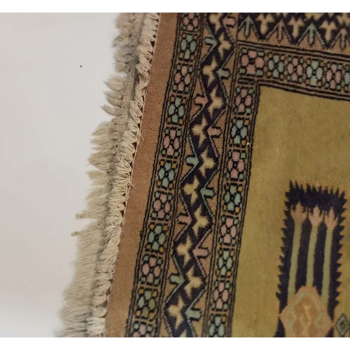 WhatsApp Image 2022-09-03 at 3.29.13 PM-56cc666b