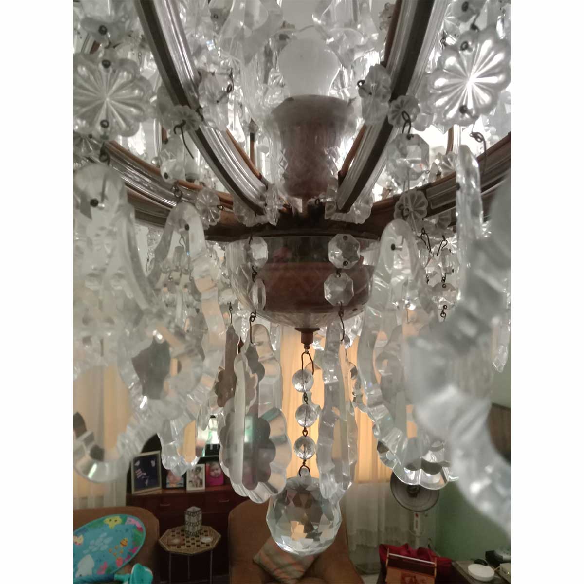 WhatsApp Image 2022-12-29 at 3.55.51 PM-75136544