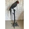 Bronze Parrot Sculpture-SoUnique.PK