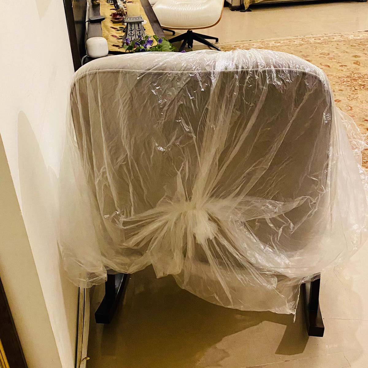 WhatsApp Image 2024-03-31 at 6.39.37 PM