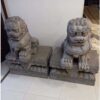 Chinese Foo Dog Pair-SoUnique.PK