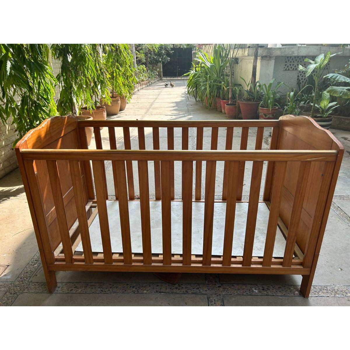 WhatsApp Image 2025-08-19 at 3.52.49 PM