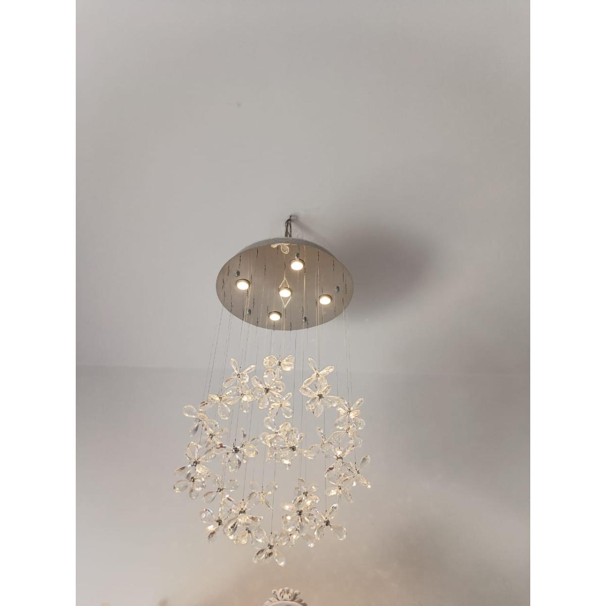 WhatsApp Image 2025-11-26 at 2.23.33 PM (1)-1bb86199