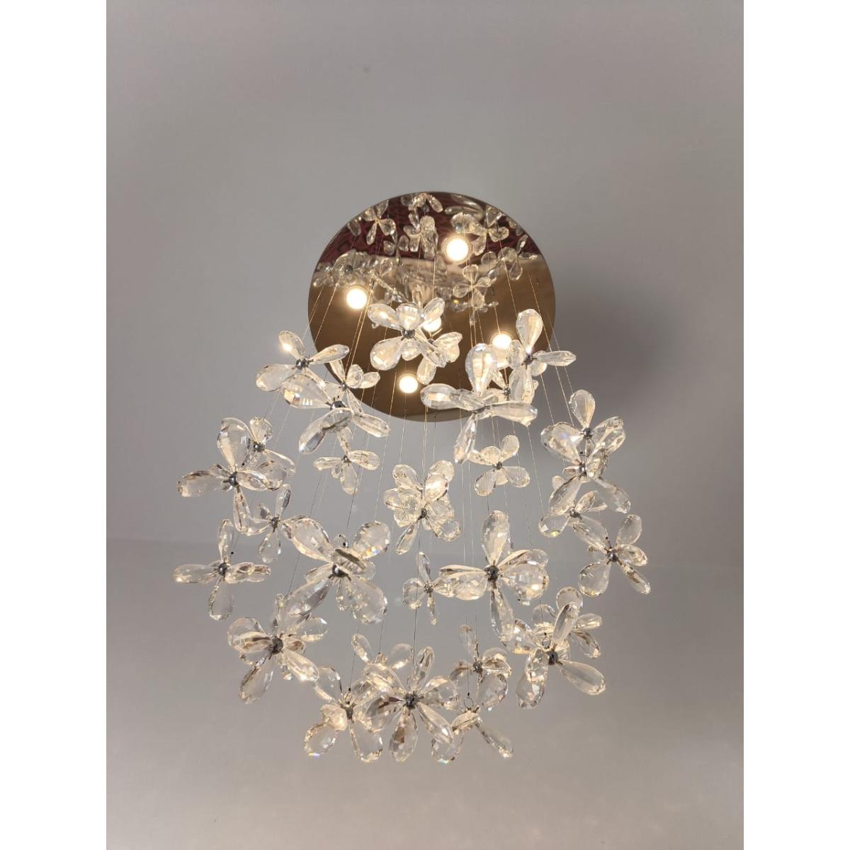 WhatsApp Image 2025-11-26 at 2.23.34 PM-8da016f6